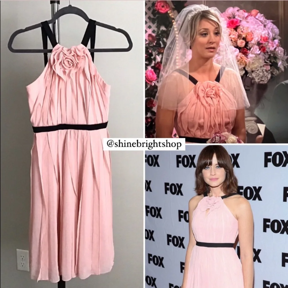 ASO Alexis Bledel and Kaley Cuoco Pleated Ruffle Dress